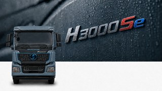 H3000Se
